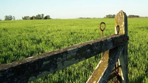 El INDEC ya organiza el Censo Agropecuario