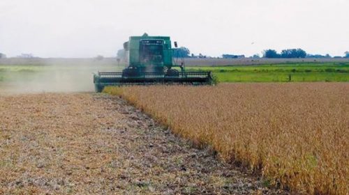 Productores reclaman medidas por sequía que consideran “dramática”