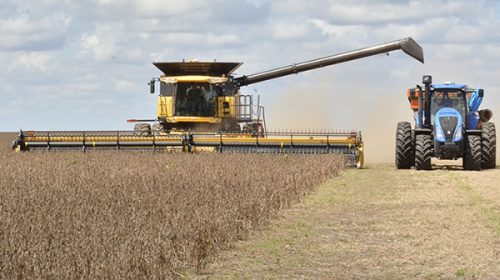 Advierten que la cosecha gruesa está en peligro este año