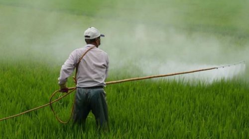 Proponen multas de hasta $67.500 por uso de glifosato