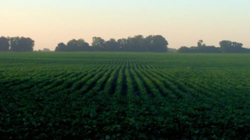 Desde el campo también llegan críticas a Macri: “Hay cada vez más pobreza, menos productores”