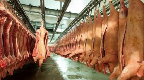 La Pampa prohíbe la carne de cerdo importada de EE.UU.