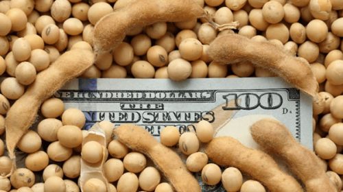 Argentina vuelve a importar 120.000 toneladas de soja de EE.UU.