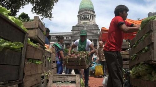 Demanda de horticultores por una ley de acceso a la tierra