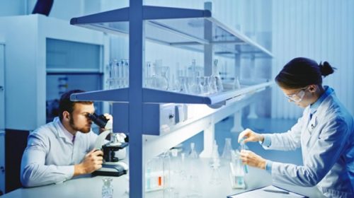 El estudio determinó una “alta probabilidad” de que sea viruela símica