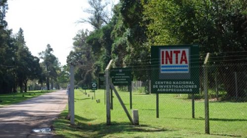 Fuerte ajuste en el INTA: echarán al 8% de sus empleados