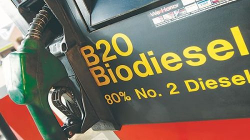 Aumentan a 15% las retenciones al biodiesel