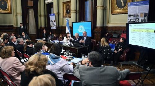 Senado: obtuvo dictamen el proyecto sobre la suspensión del megatarifazo