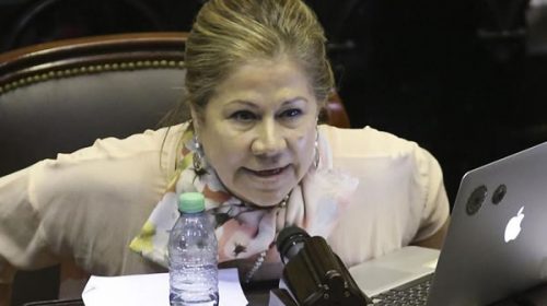 Tras el veto, Camaño adelantó que recurrirán a la Justicia