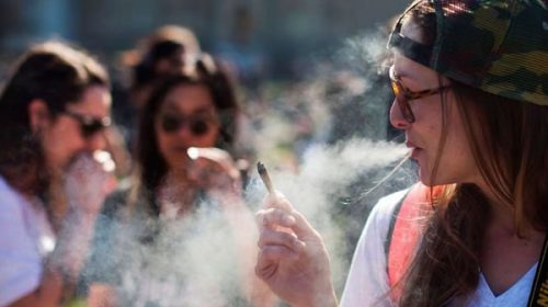 Canadá aprobó la legalización de la marihuana para uso recreativo