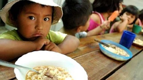 Preocupante: el 33 por ciento de los niños se alimenta en comedores escolares
