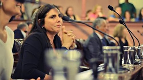 Lena volvió a defender a Varisco y cuestionó a Bullrich