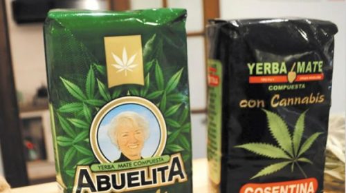 Uruguay: la próxima semana comenzará a venderse yerba mate con marihuana