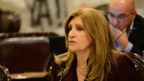 Uso de armas: “En la provincia no necesitamos un reglamento extra”