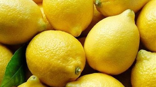 Cítricos hasta 14 veces más caros de lo que recibe el productor