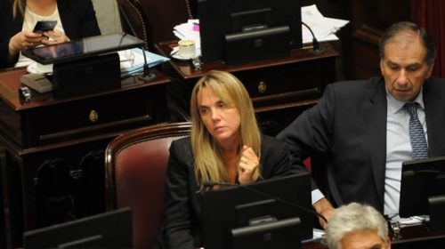 Aborto legal: con distintas posturas entre senadores, arranca el debate en comisiones