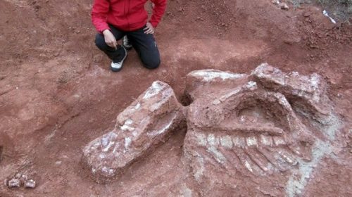 Descubren dinosaurio gigante de más de 200 millones de años en San Juan