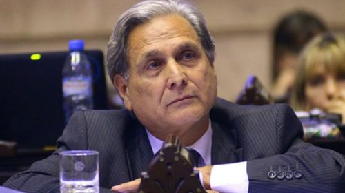 Glifosato: Solanas criticó la decisión del juez Seró