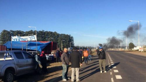 Frenan la circulación de camiones que trasladan madera en el ingreso a Concordia