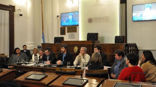 Analizaron proyecto que limita el uso del juicio abreviado en causas de género
