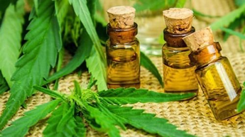 Paraguay autoriza la venta del primer producto a base de cannabis