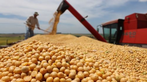En 2023, las exportaciones agropecuarias caerían hasta u$s8.500 millones