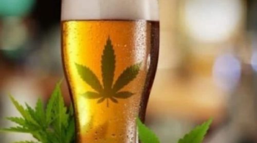 Canadá fabricará cerveza con cannabis, sin alcohol
