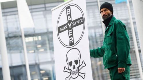 Bayer contra todos: defiende el glifosato y asegura que “no provoca cáncer”