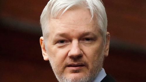 Piden que Assange testifique en el Senado de EE.UU.