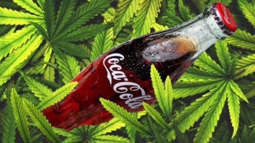 La compañía Coca-Cola estudia hacer una bebida de cannabis