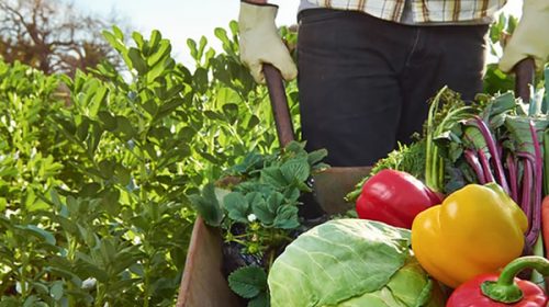 El Colegio de Profesionales de la Agronomía se pronunció en defensa de Agricultura Familiar