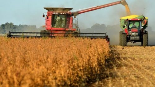 Estiman cosecha récord de 140 millones de toneladas