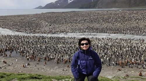 “Malvinas argentinas”: el mensaje de una consagrada actriz francesa desde las islas