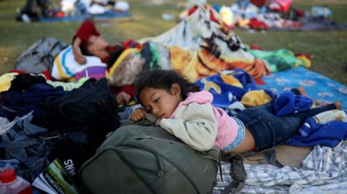 EE.UU: Nadie sabe dónde están casi 1.500 niños inmigrantes