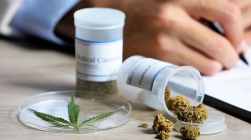 Entre Ríos adhirió a la ley nacional que establece el uso de cannabis medicinal