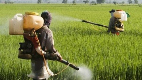Prohíben la elaboración, importación y fraccionamiento de pesticidas