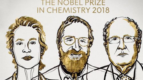 Nobel de Química para tres científicos por el desarrollo de proteínas