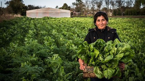 Realizarán un encuentro de mujeres campesinas en Federal