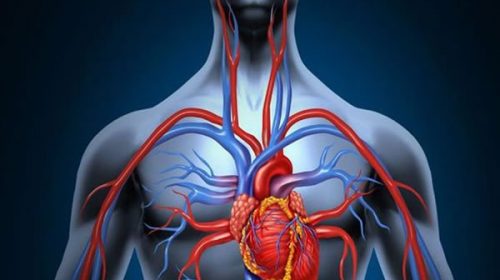 Éxito en salud: implantaron el primer stent bioabsorbible en el país