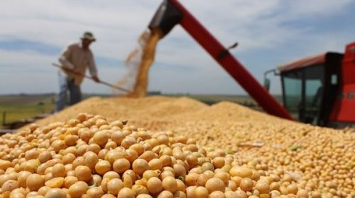 AFIP reclama a las cerealeras que paguen las retenciones