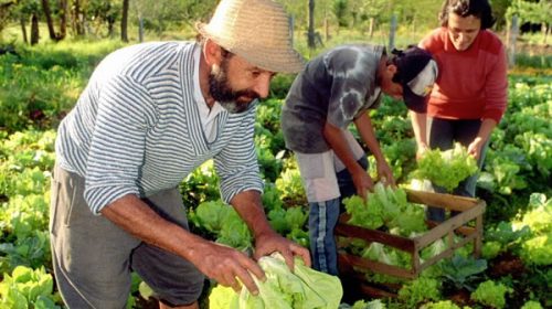 Se realizó el primer Foro Provincial de la Agricultura Familiar Se realizó el primer Foro Provincial de la Agricultura Familiar