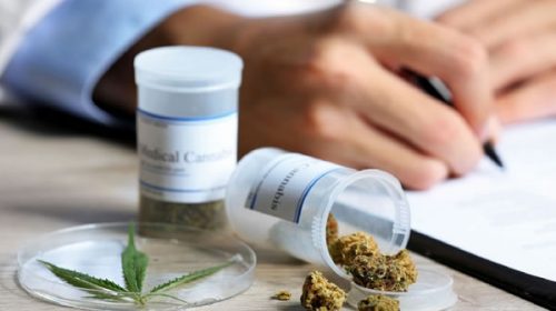 El Hospital Garrahan inicia el primer ensayo clínico argentino de cannabis medicinal