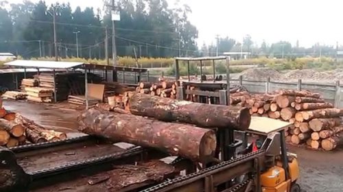 Hubo nuevo cierres de aserraderos: la situación sigue “siendo crítica” Hubo nuevo cierres de aserraderos: la situación sigue “siendo crítica”