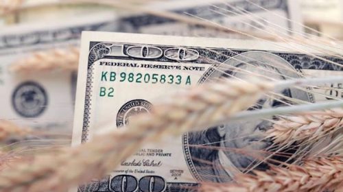 Subieron Bienes Personales pero suavizaron la presión al campo