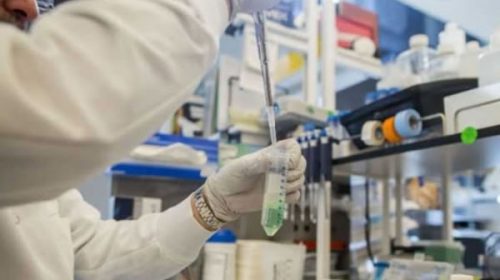 El Gobierno entrega 42 millones de pesos en becas para investigación médica