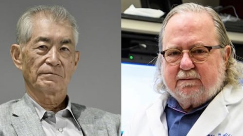 Los padres de la inmunoterapia contra el cáncer fueron premiados con un Nobel de Medicina