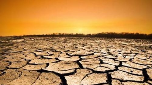 Para Greenpeace aún hay “esperanza”