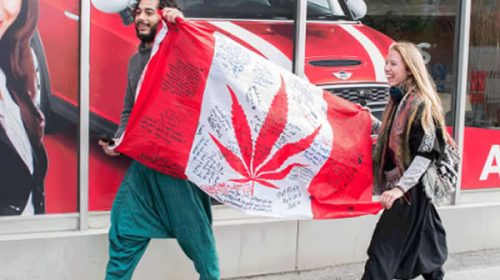 Marihuana en cifras: aspectos básicos tras la legalización en Canadá