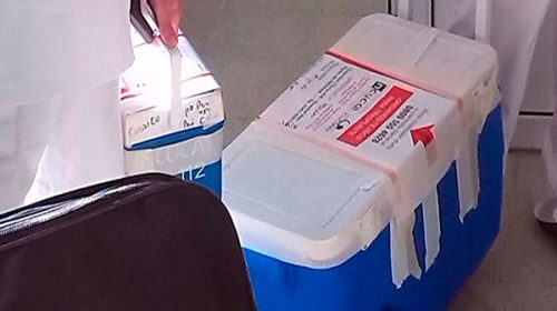 Nueva donación de órganos entrerriana ayuda a pacientes desde Jujuy a Santa Cruz