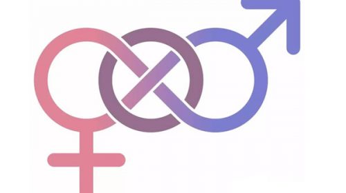 La provincia de Santa Fe admitirá el sexo indefinido La provincia de Santa Fe admitirá el sexo indefinido